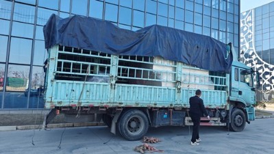 自動噴膠機再添新交付，助力大連汽車橡膠減震客戶升級
